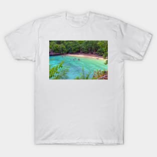 Dive into Paradise: Unveiling Siquijor's Hidden Gems T-Shirt